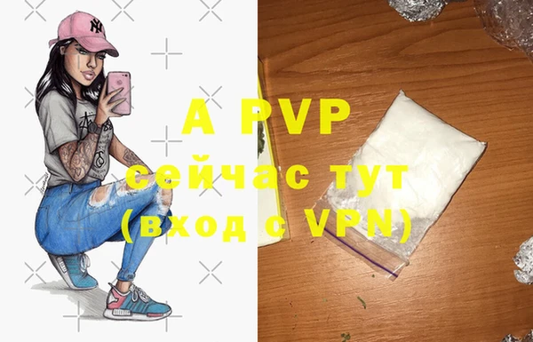 прущие грибы Белоозёрский