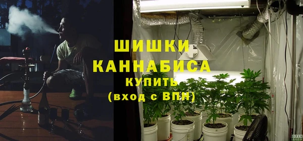 не бодяженный Белокуриха